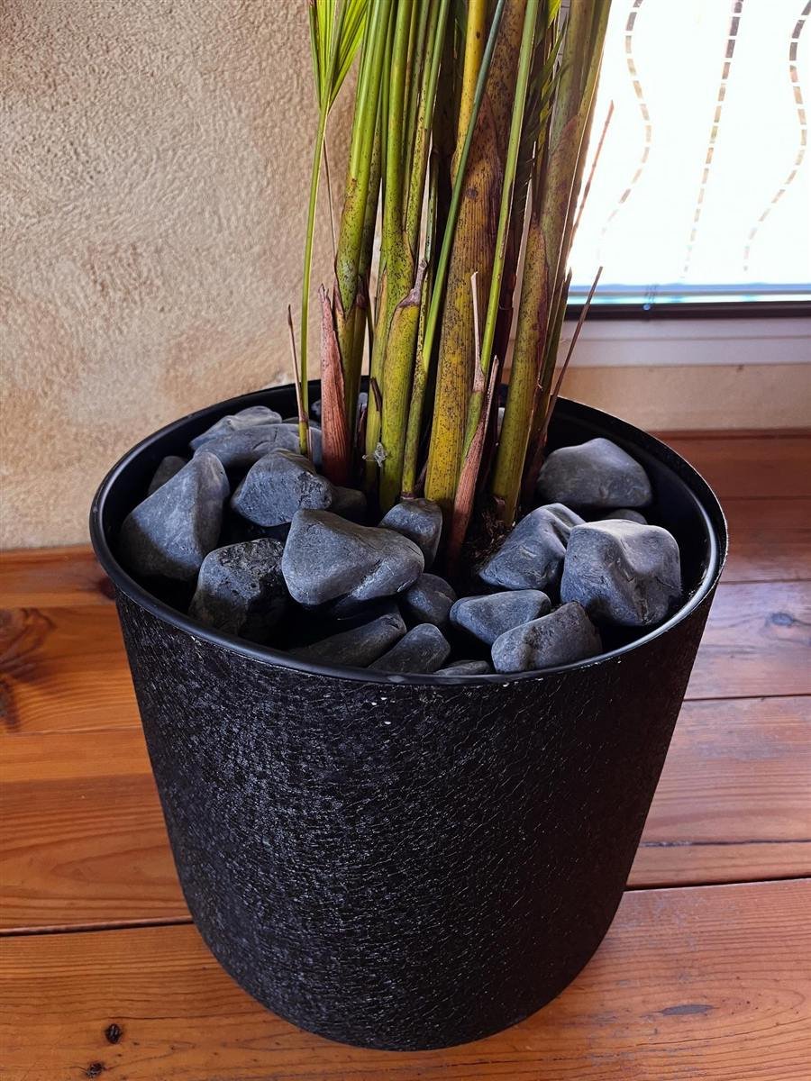 Détail de finition aux Angles : potée paillée de galets noirs roulés au pied d’un palmier, pour limiter l’évaporation et soigner l’esthétique.
